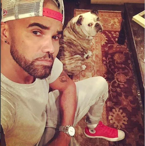 10 Famous Black Celebrities Who Adore Their Precious Pet Doggies