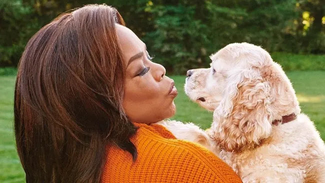 5 Celebrity Dog Rescue Owners