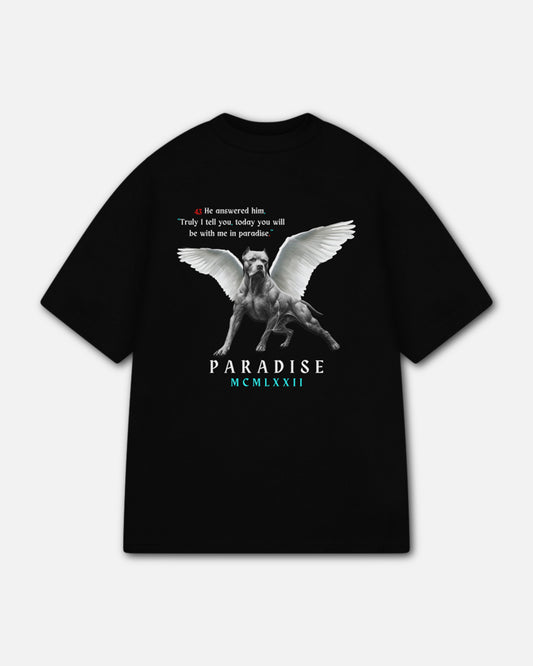 Paragon of Virtue Streetwear Tee